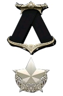 Combat Infantry Star Medal