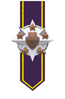 Meritorious Campaign Defense Banner